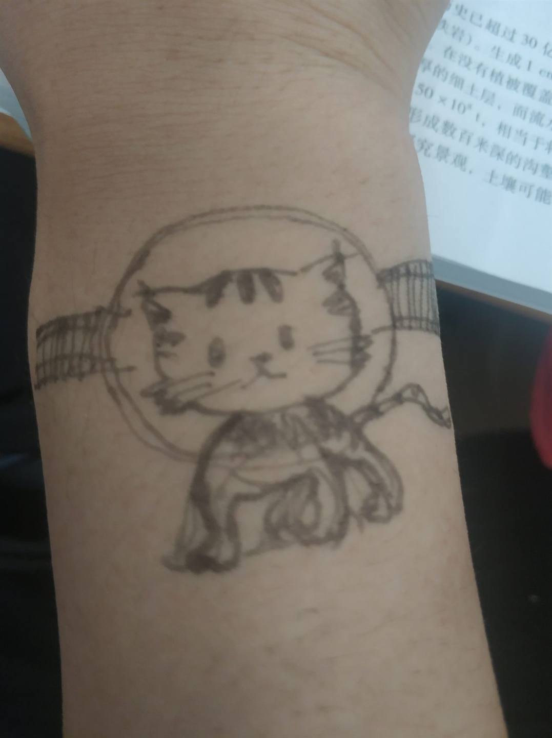 手表喵喵