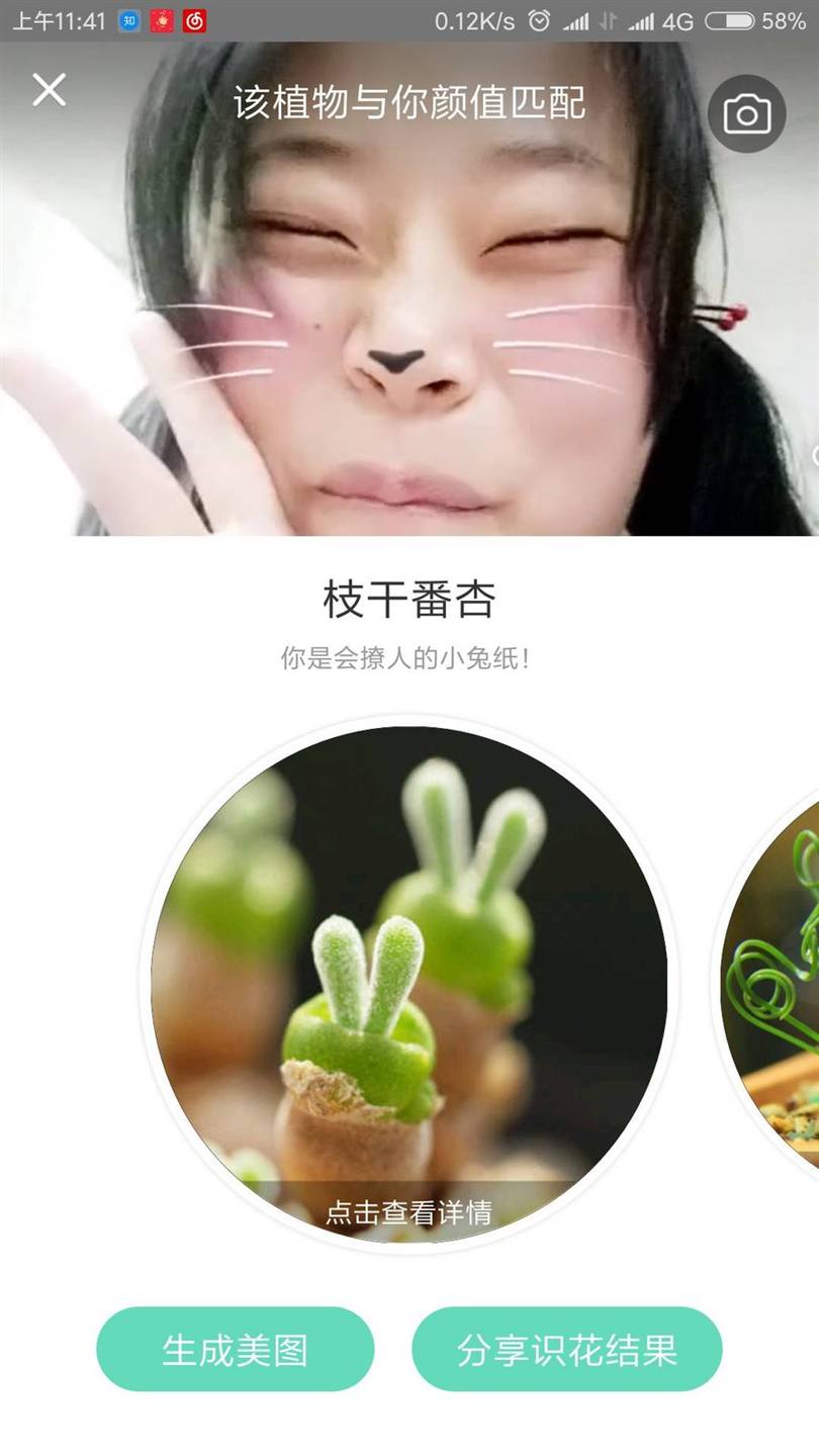 植物和日常